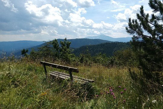 Tour image 1