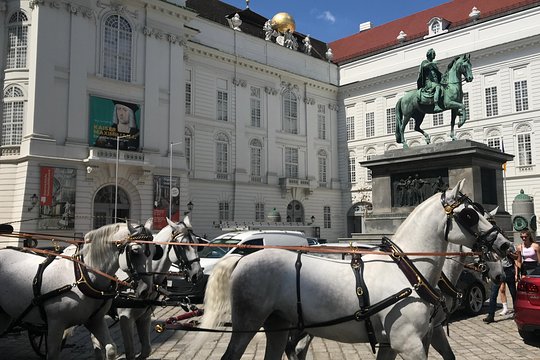 Tour image 12