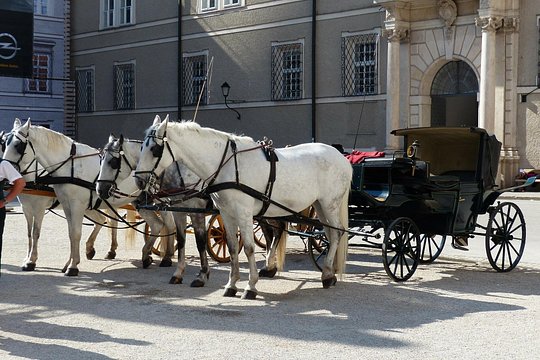 Tour image 6
