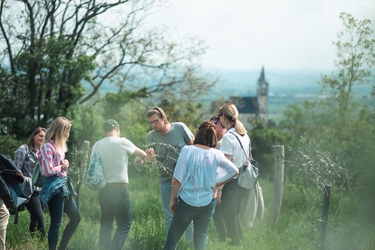 Tour image 1