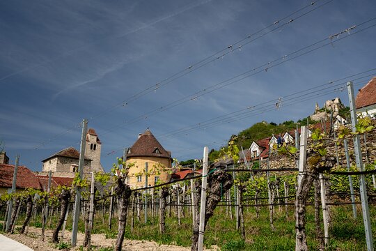 Tour image 12