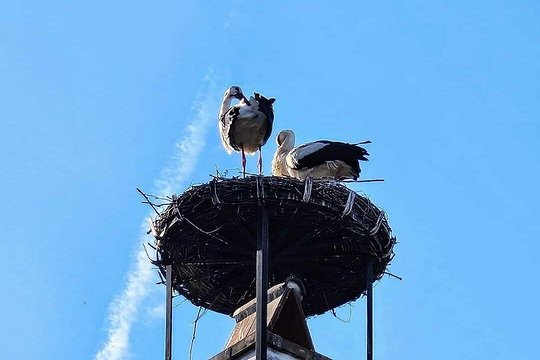 Tour image 2